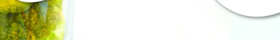 [키위맛] 길팁 브로콜리 씨앗 추출물 분말 설포수 14포(14일분) 상세페이지 10